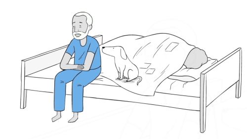 Illustration of a patient sitting on a hospital bed with a dog beside them.